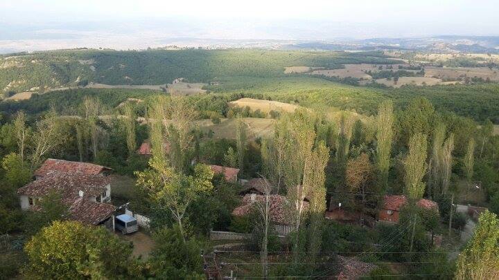 Vezirköprü Halilbaba Köyü 9