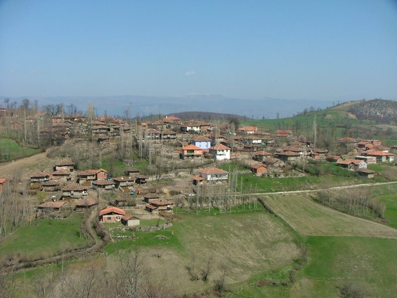 Vezirköprü Halkahavlı Köyü 4