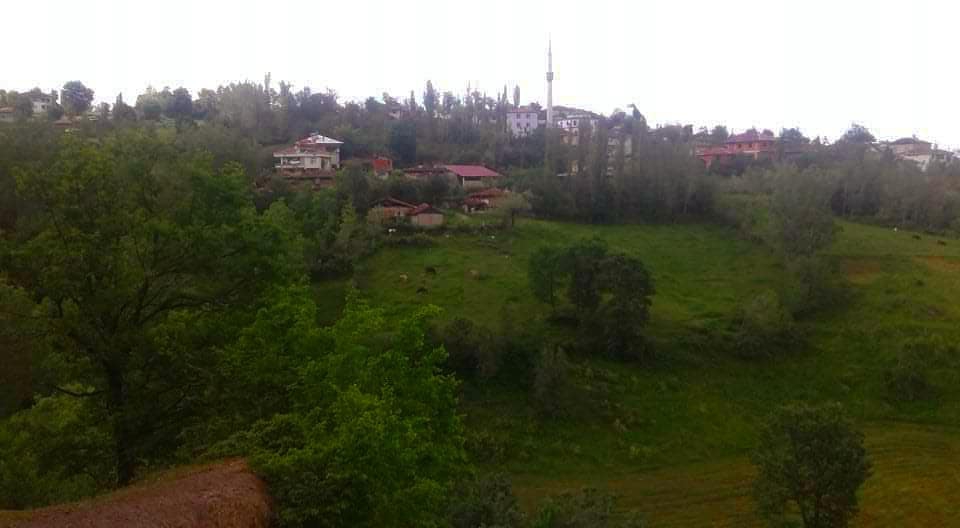 Vezirköprü Halkahavlı Köyü 7