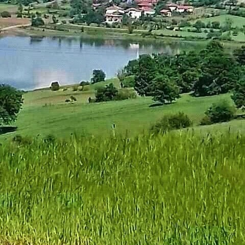 Vezirköprü İncesu Köyü 5