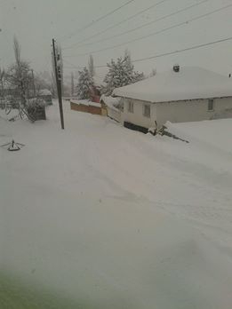 Vezirköprü Kadıçayırı Köyü 2