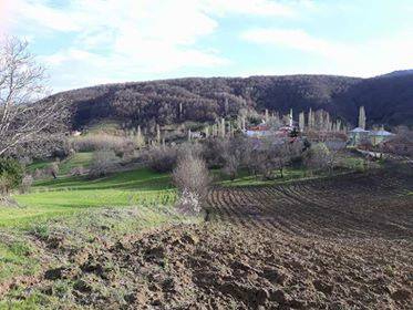 Vezirköprü Kadıçayırı Köyü 10