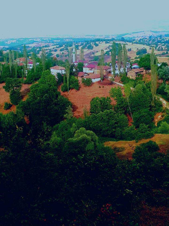 Vezirköprü Kadıçayırı Köyü 11