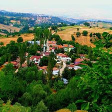 Vezirköprü Kadıçayırı Köyü 8