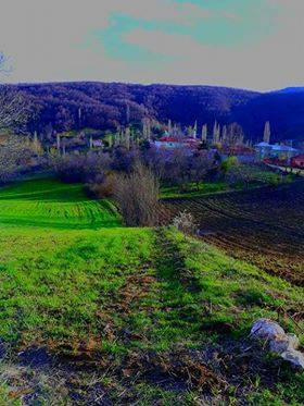 Vezirköprü Kadıçayırı Köyü 9