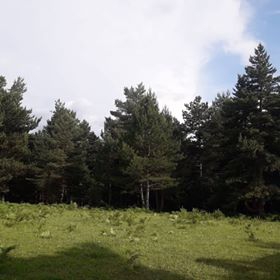 Vezirköprü Kapaklıçeşme  Köyü 4