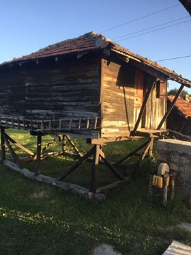 Vezirköprü Kapaklıçeşme  Köyü 5