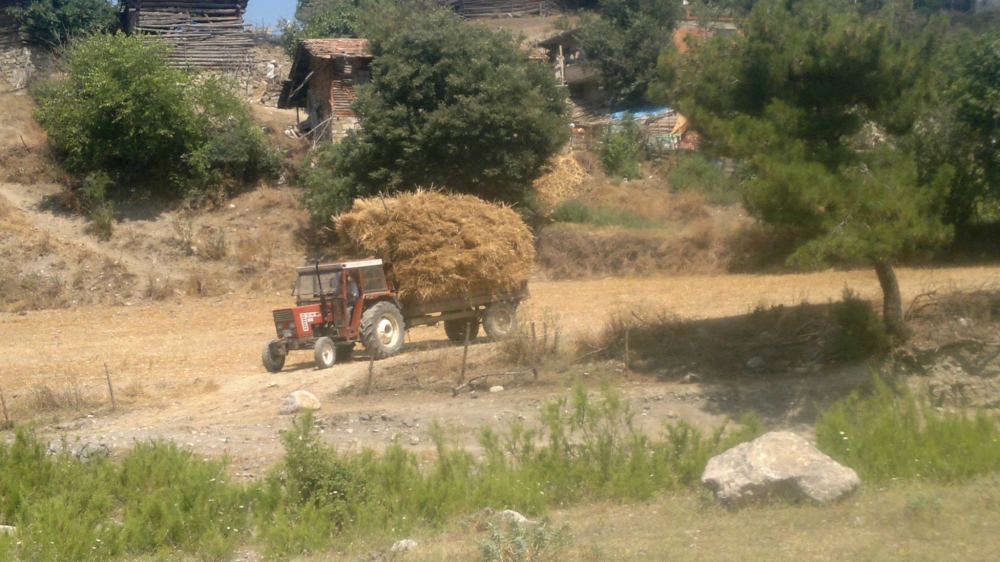 Vezirköprü Kaplancık Köyü 5