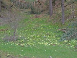 Vezirköprü Karabük  Köyü 3