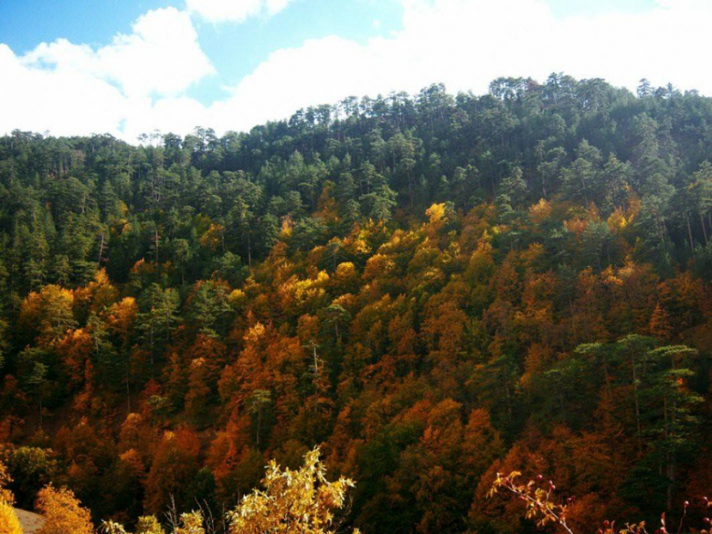 Vezirköprü Karabük  Köyü 6