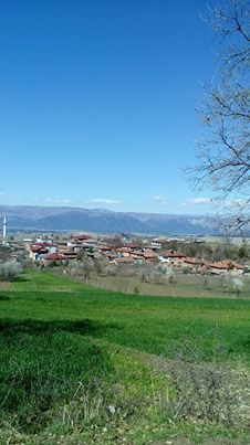 Vezirköprü Karlı  Köyü 10