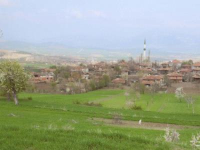 Vezirköprü Karlı  Köyü 2