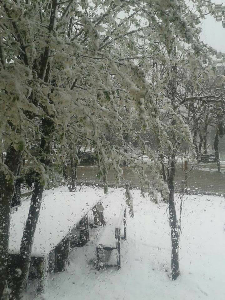 Vezirköprü Karlı  Köyü 6