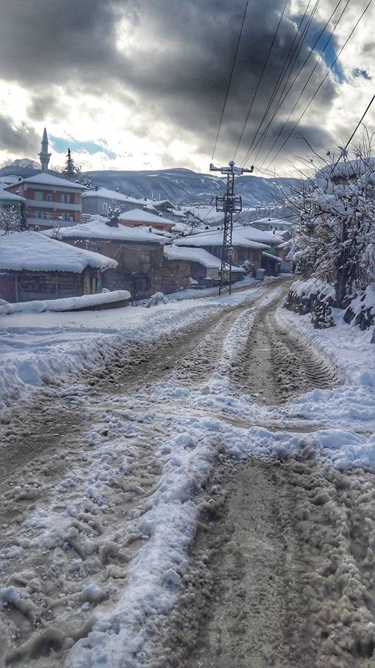 Vezirköprü Karlı  Köyü 9