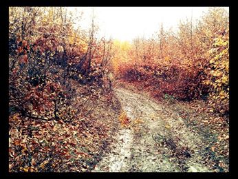 Vezirköprü Kılıçgüney Köyü 1