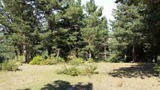 Vezirköprü Kılıçgüney Köyü 4