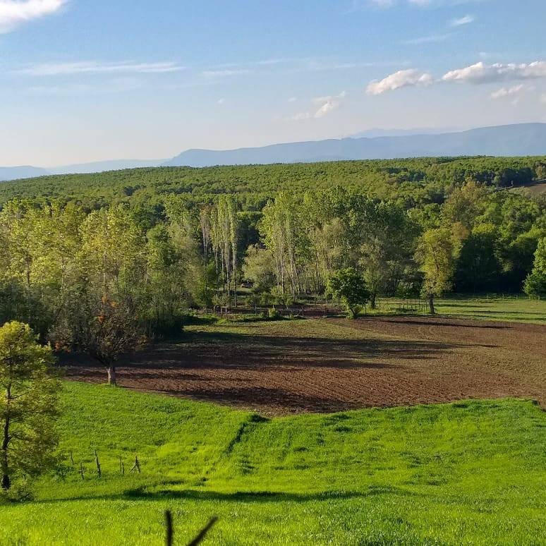 Vezirköprü Kılıçgüney Köyü 8