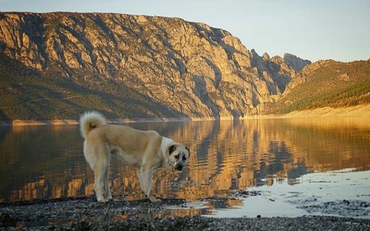 Vezirköprü Kıratbükü Köyü 4