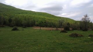 Vezirköprü Kırma Köyü 3