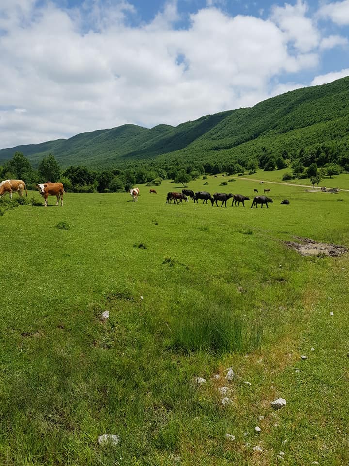 Vezirköprü Kırma Köyü 5