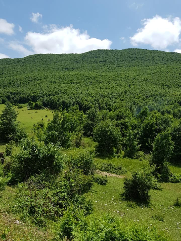 Vezirköprü Kırma Köyü 6