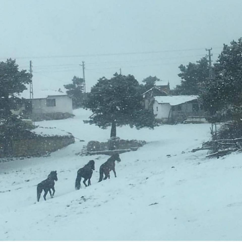 Vezirköprü Kızılcakoru Köyü 3