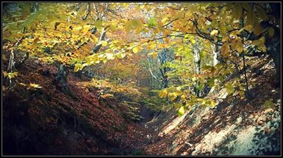 Vezirköprü Kızılcaören Köyü 2