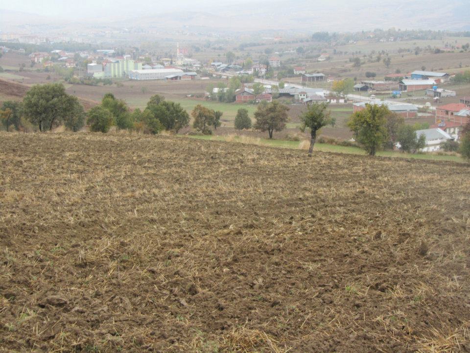 Vezirköprü Kızılcaören Köyü 7