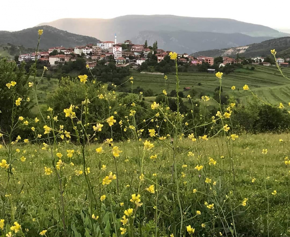 Vezirköprü Kızılkese Köyü 8