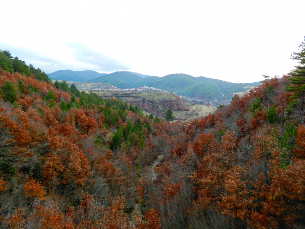 Vezirköprü Kızılkese Köyü 9