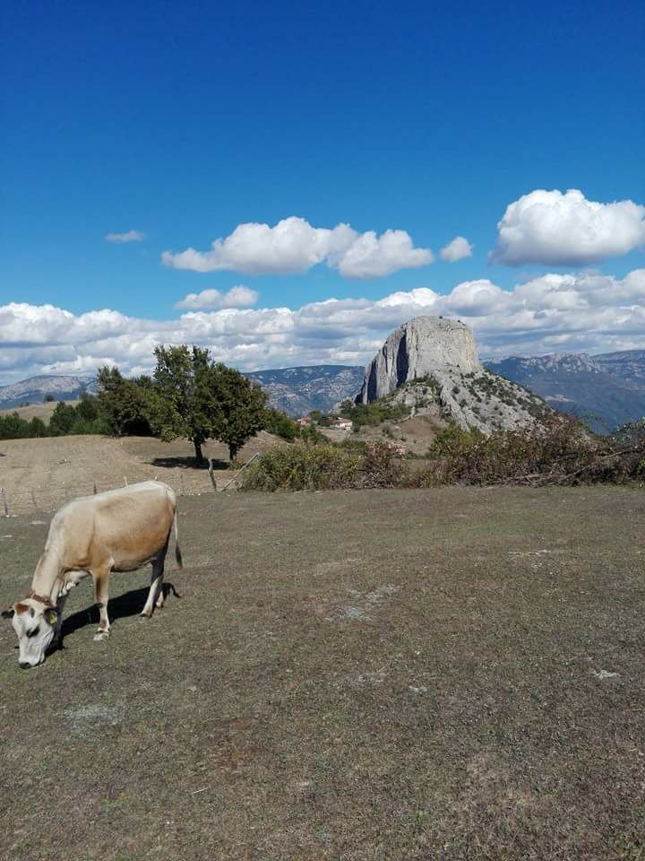 Vezirköprü Kocakaya Köyü 3