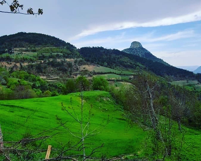 Vezirköprü Kocakaya Köyü 7