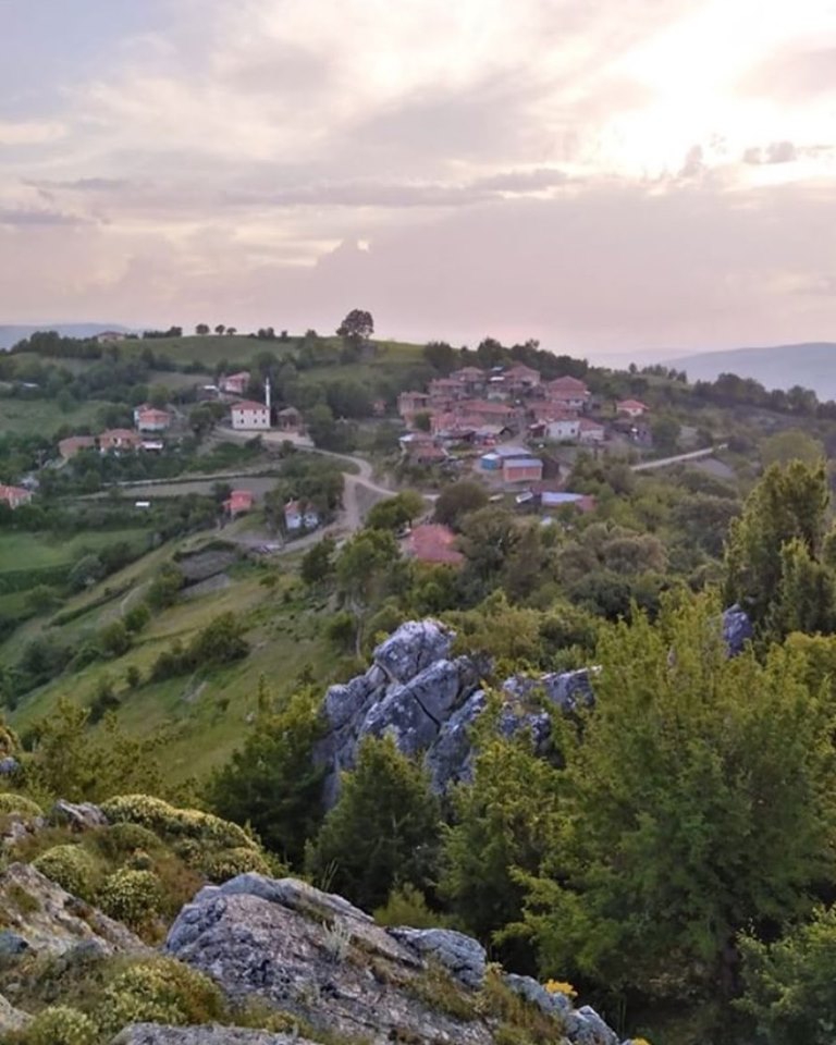 Vezirköprü Kocakaya Köyü 9