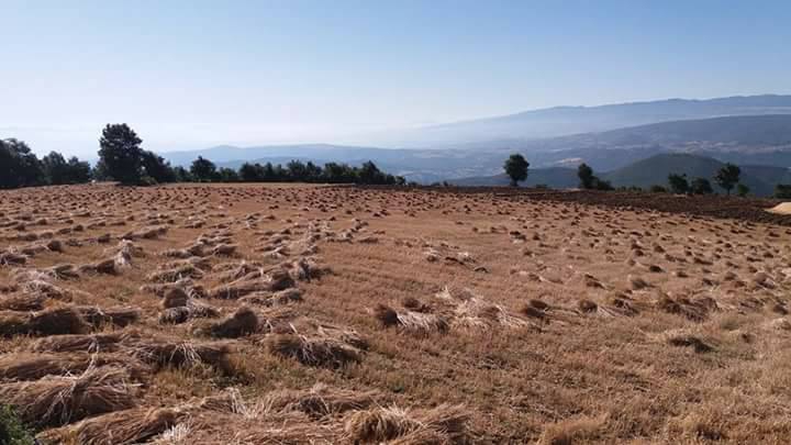 Vezirköprü Kumral Köyü 5