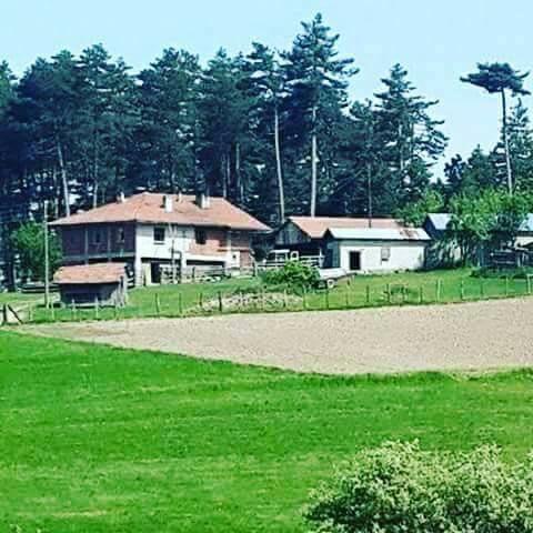 Vezirköprü Kumral Köyü 6