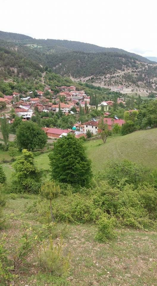 Vezirköprü Kumral Köyü 7