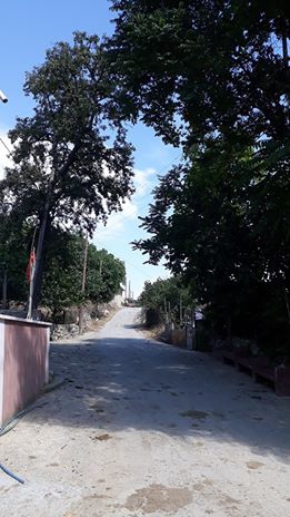 Vezirköprü Kuruçay Köyü 8