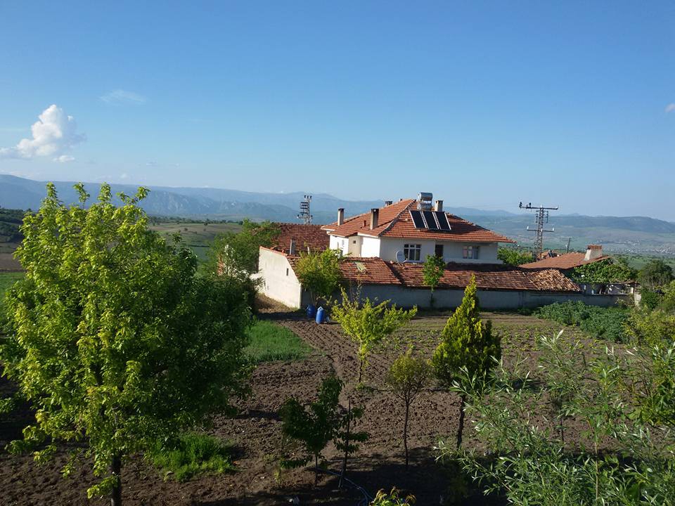 Vezirköprü Kuyaş Köyü 3