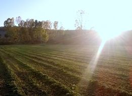 Vezirköprü Kületek Köyü 3