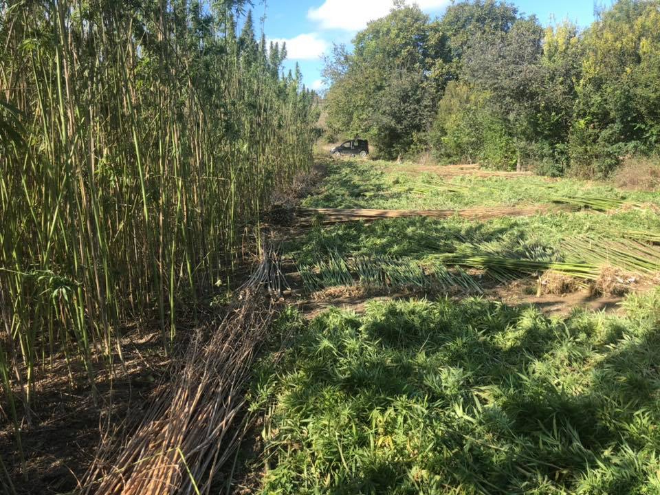 Vezirköprü Narlısaray Köyü 10