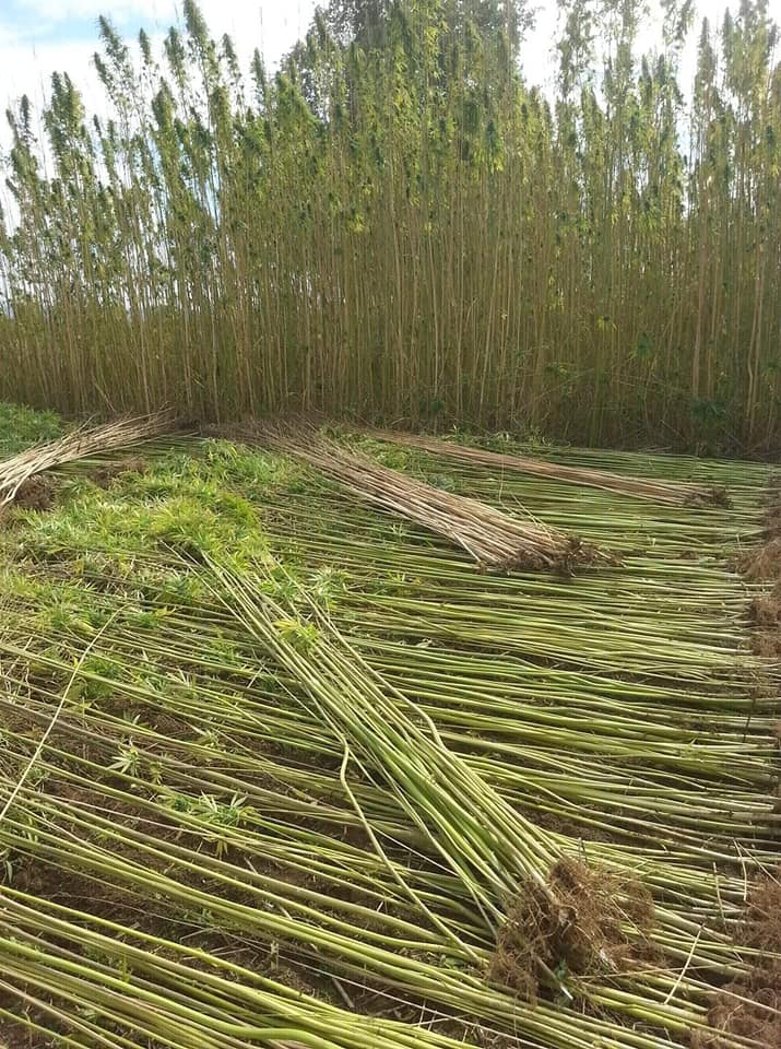 Vezirköprü Narlısaray Köyü 9