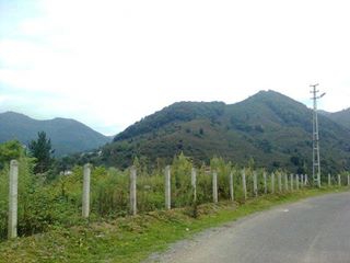 İkizce Beylerce Köyü Resimleri 2
