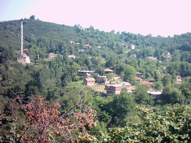 İkizce Beylerce Köyü Resimleri 4