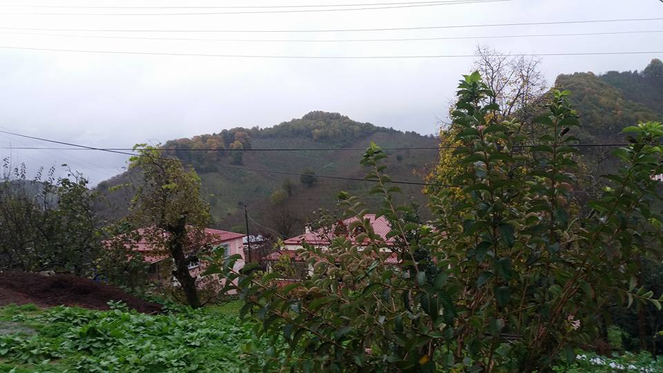 İkizce Beylerce Köyü Resimleri 5