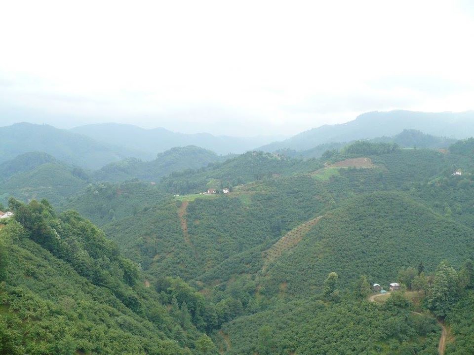 İkizce Düzmeşe Köyü Resimleri 2