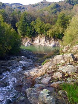 İkizce Düzpelit Köyü Resimleri 6