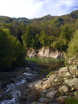 İkizce Düzpelit Köyü Resimleri 7