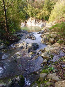 İkizce Düzpelit Köyü Resimleri 8