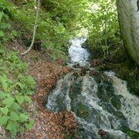 İkizce Şenbolluk Köyü Resimleri 3