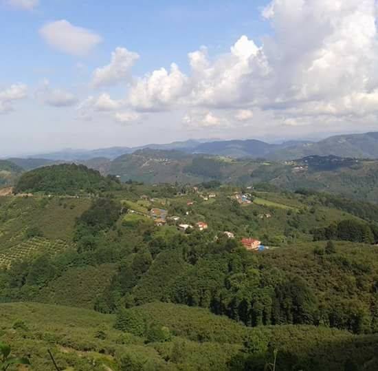 İkizce Şenbolluk Köyü Resimleri 6